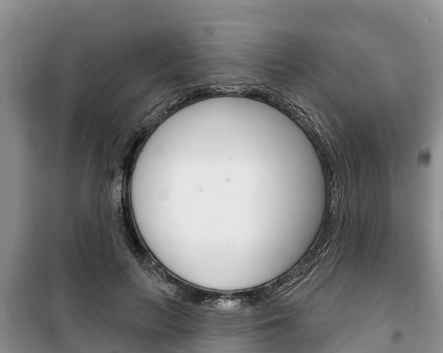 X0000100470647200806130755