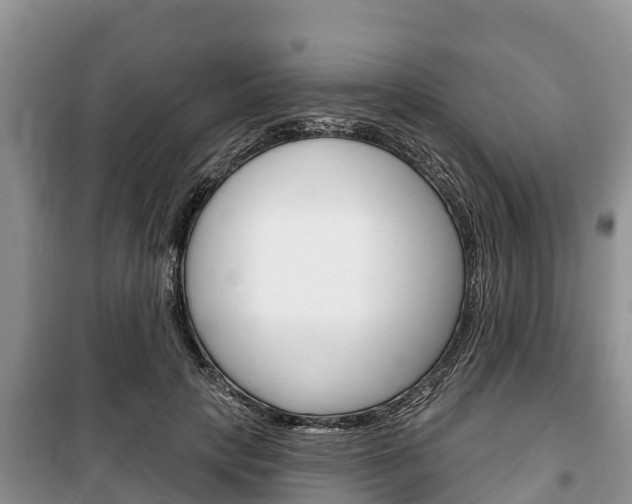 X0000100470649200806130755