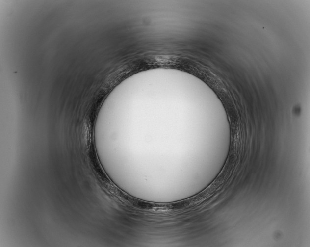 X0000100470651200806130755