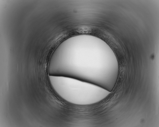 X0000100470652200806130755