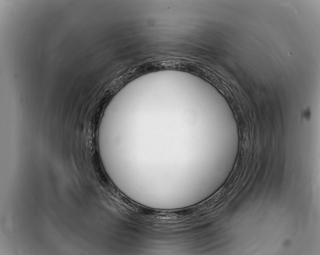 X0000100470653200806130755