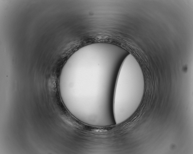 X0000100470654200806130755