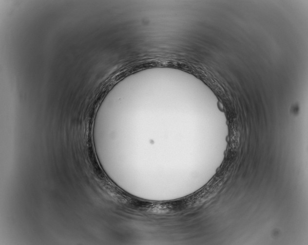 X0000100470656200806130755