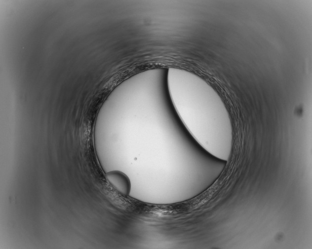 X0000100470657200806130755