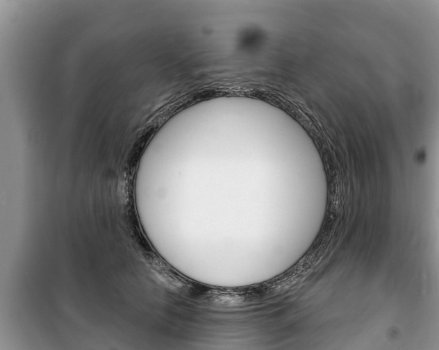 X0000100470658200806130755