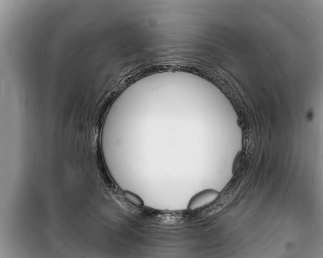 X0000100470660200806130756