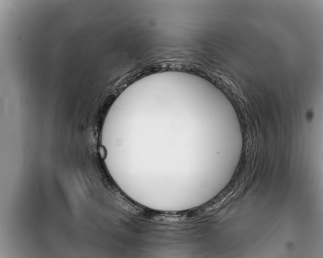 X0000100470661200806130756