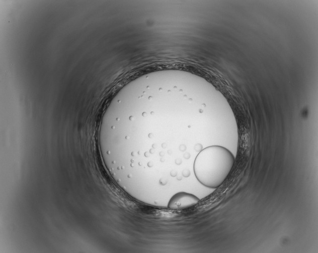 X0000100470662200806130756