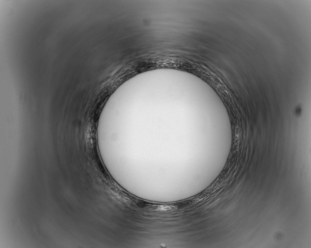 X0000100470663200806130756