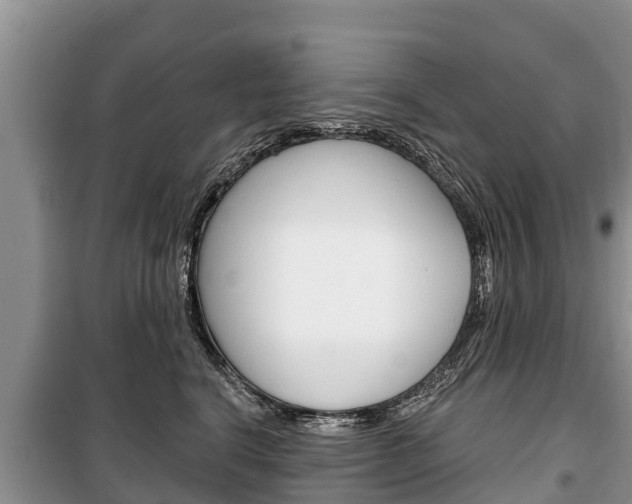 X0000100470664200806130756