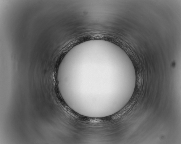X0000100470666200806130756