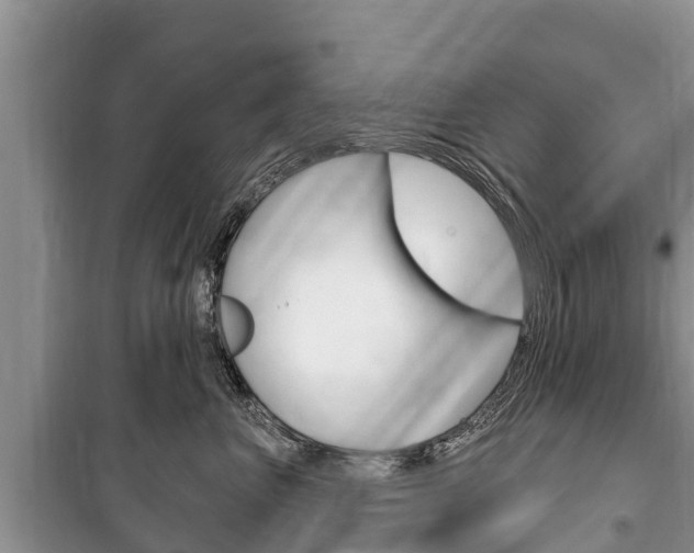 X0000100470667200806130756