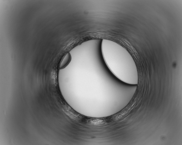 X0000100470669200806130756