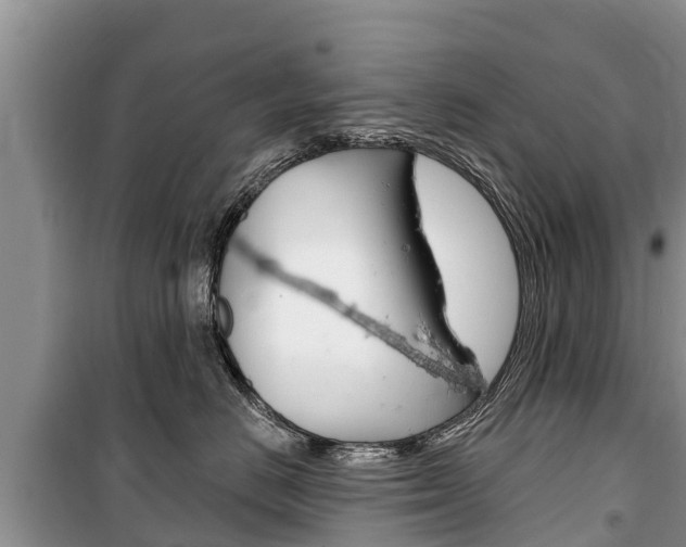 X0000100470670200806130756
