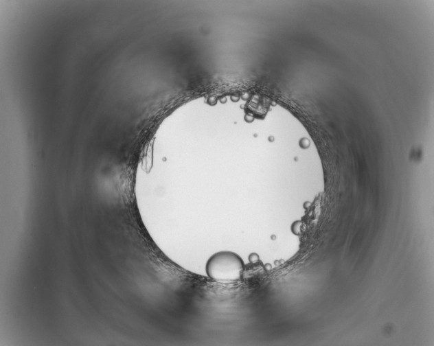 X0000100470672200806130756