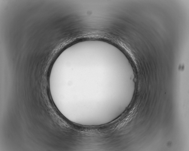 X0000100470673200806130755