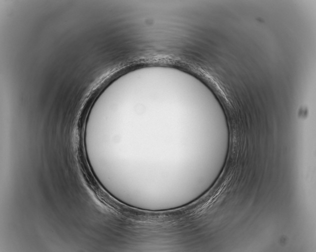 X0000100470674200806130755