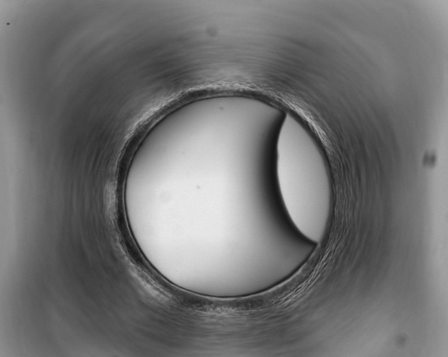 X0000100470677200806130755