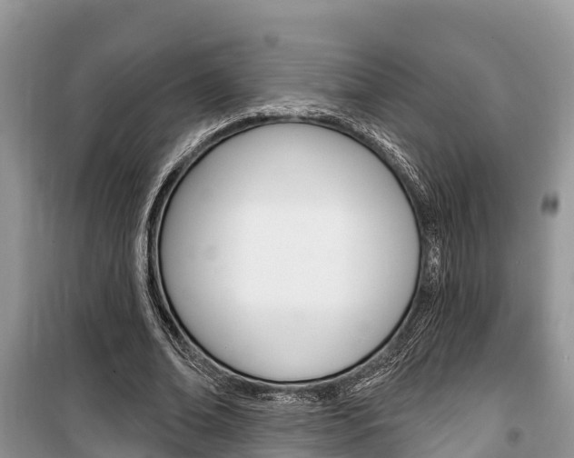 X0000100470678200806130755