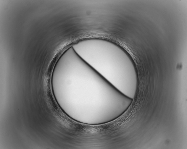 X0000100470679200806130755