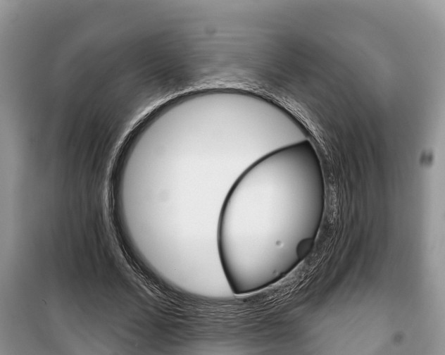 X0000100470680200806130755