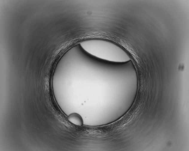 X0000100470681200806130755