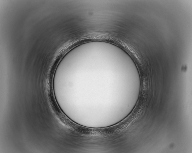 X0000100470682200806130755