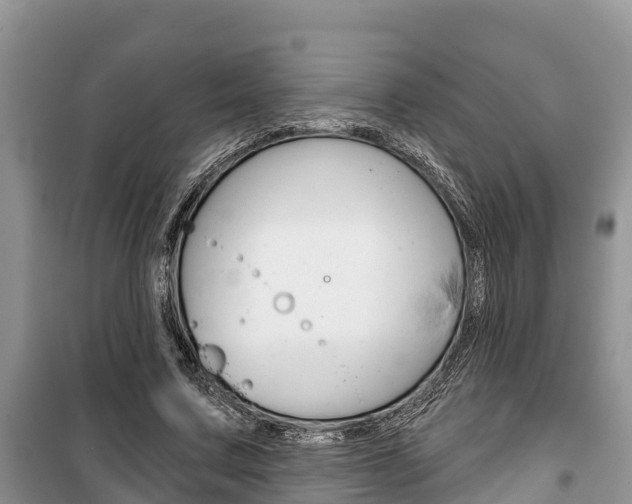 X0000100470683200806130755