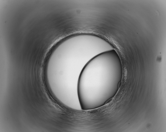 X0000100470684200806130755