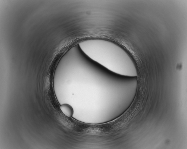 X0000100470685200806130755