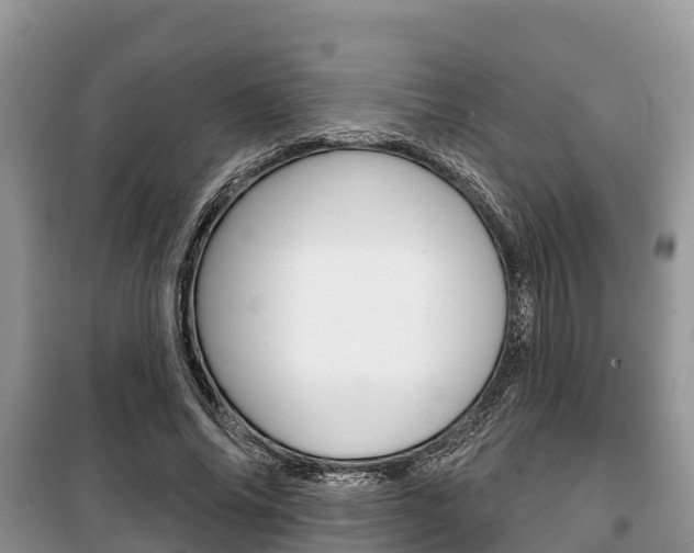X0000100470686200806130755
