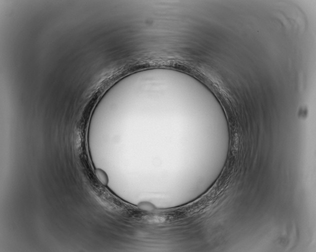 X0000100470687200806130755
