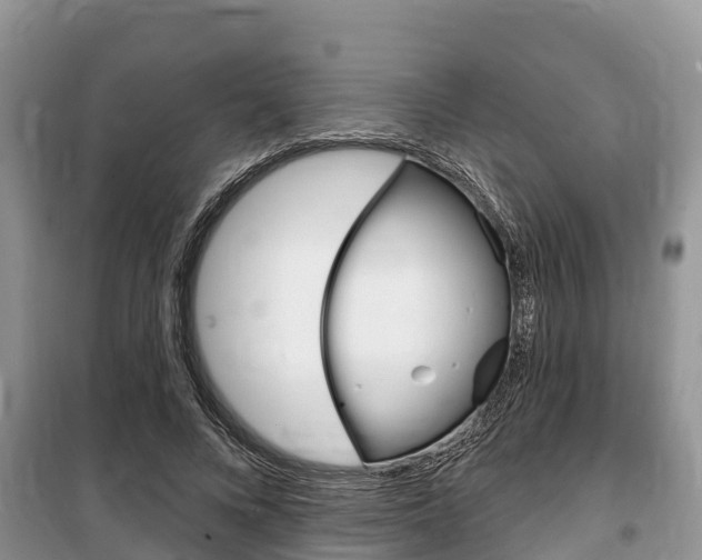 X0000100470688200806130755