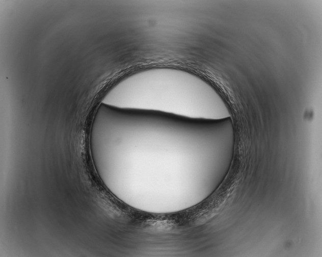 X0000100470689200806130755