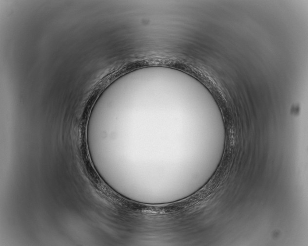 X0000100470690200806130755