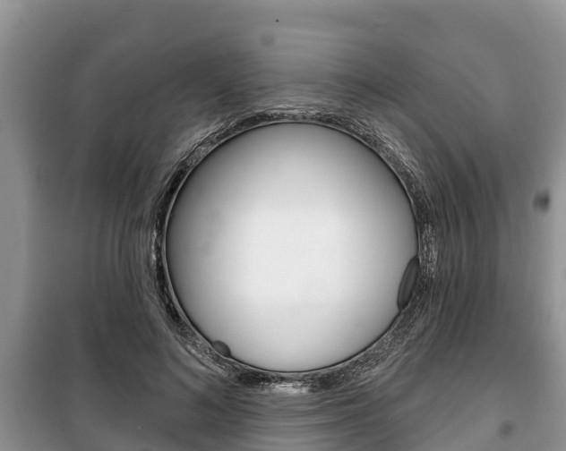 X0000100470692200806130755
