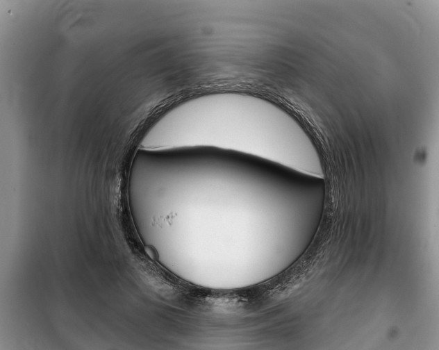 X0000100470693200806130755
