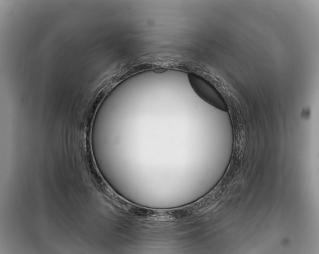 X0000100470696200806130755