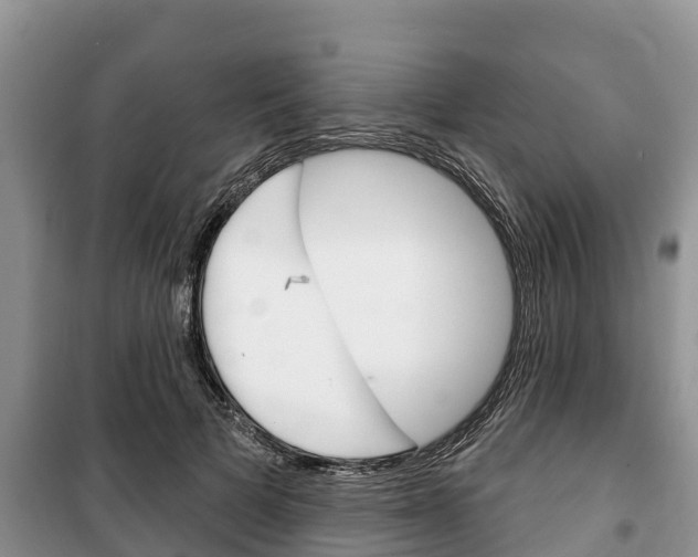 X0000100470697200806130755