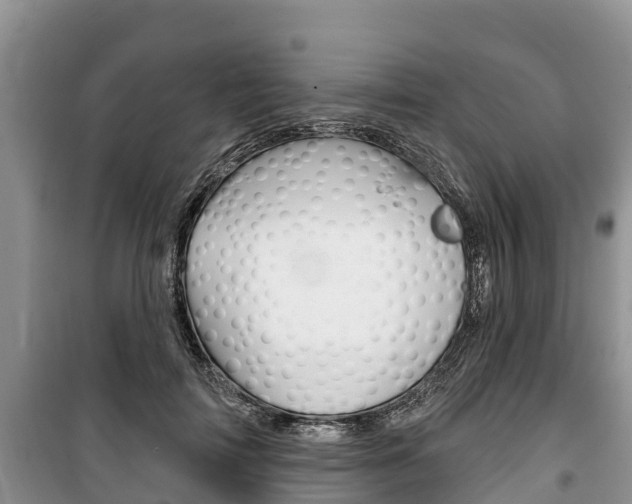 X0000100470698200806130755