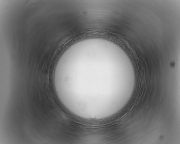 X0000100470701200806130755