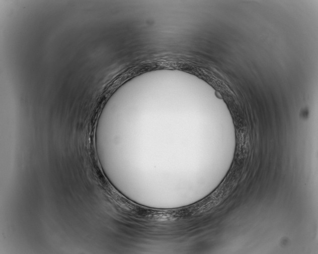 X0000100470702200806130755