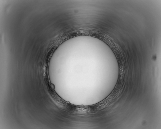 X0000100470703200806130755