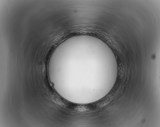 X0000100470704200806130755