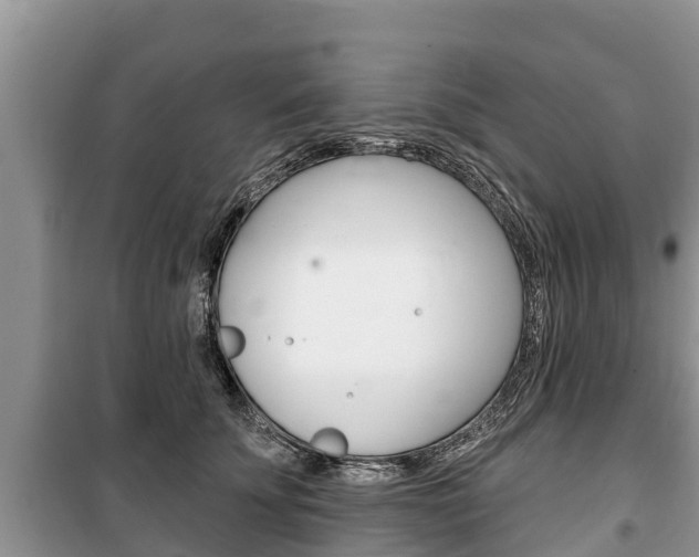 X0000100470707200806130755