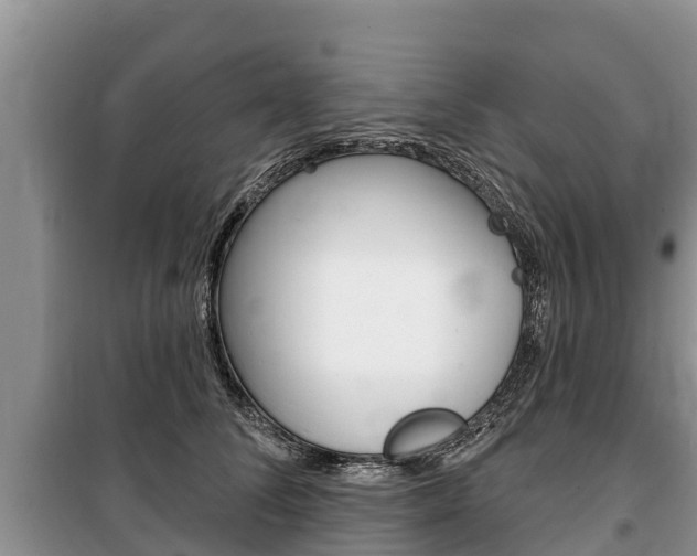 X0000100470708200806130755