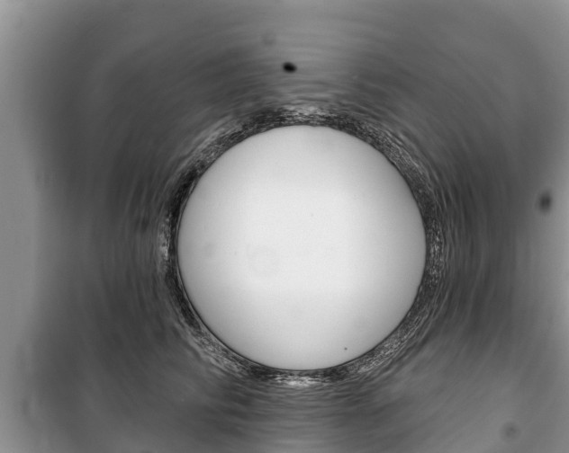 X0000100470710200806130755