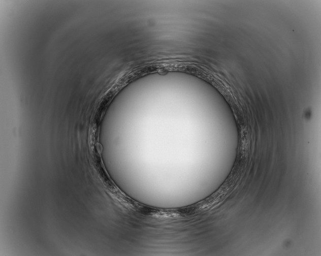 X0000100470712200806130754