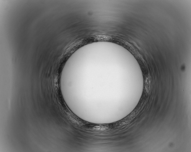 X0000100470714200806130754