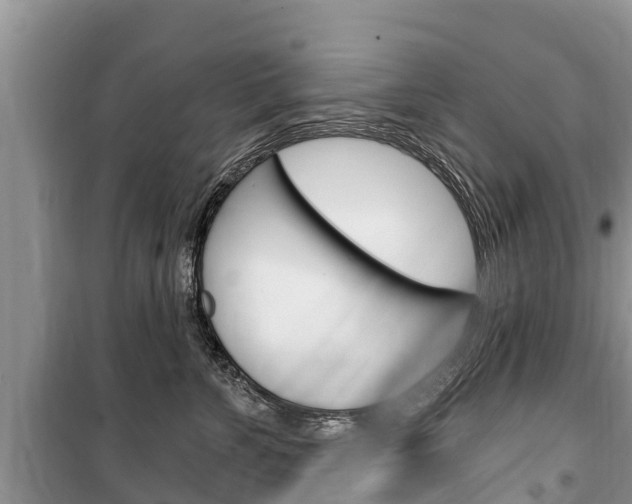 X0000100470715200806130754